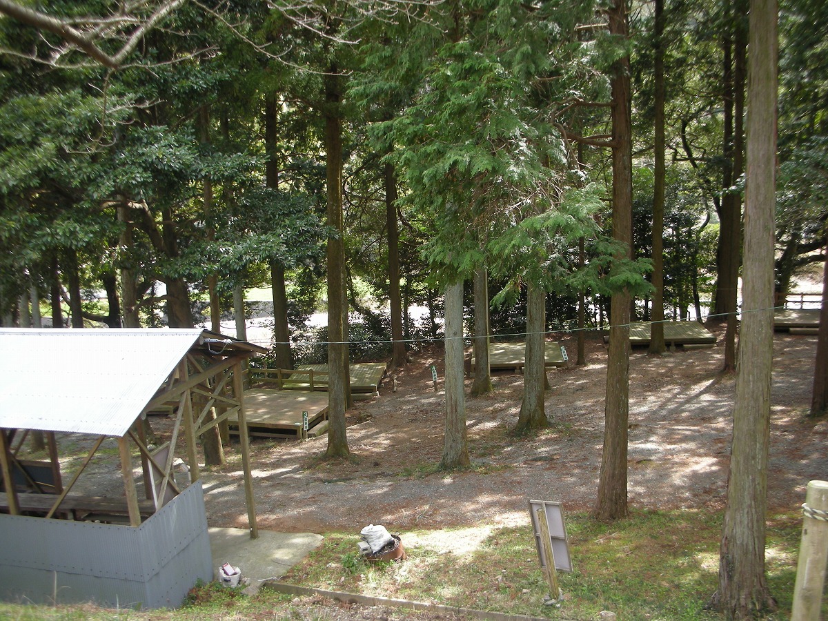 林間のテントサイト